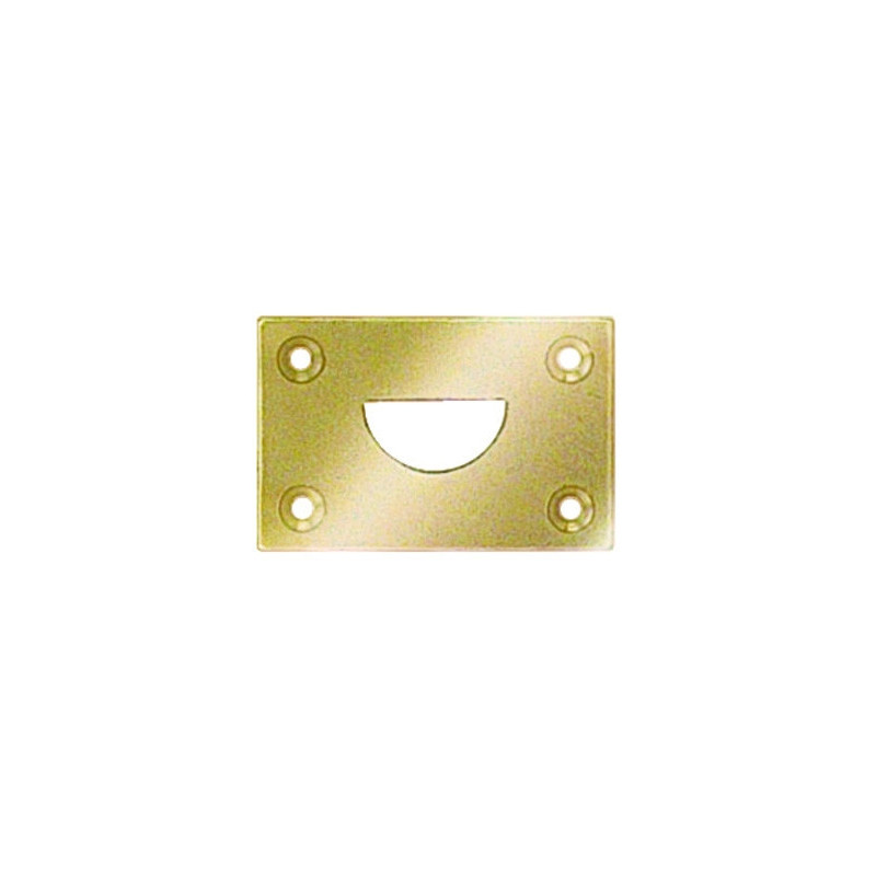 Gâche plate à trou demi-rond - DEVISMES Gâche plate à trou demi-rond - DEVISMES